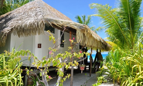 Pension Tikehau Paradise
